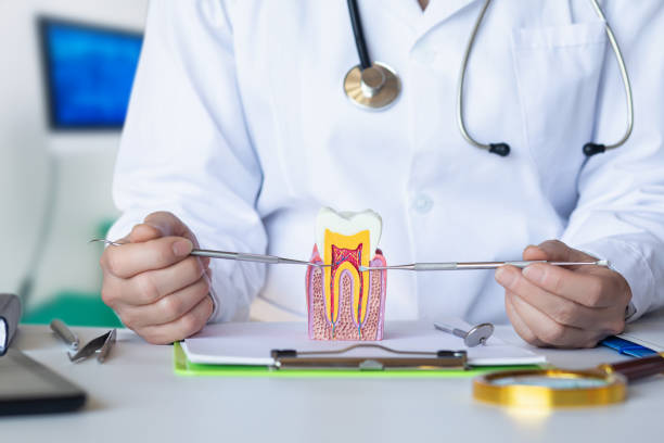 Best Holiday Emergency Dentist in New Berlin, IL